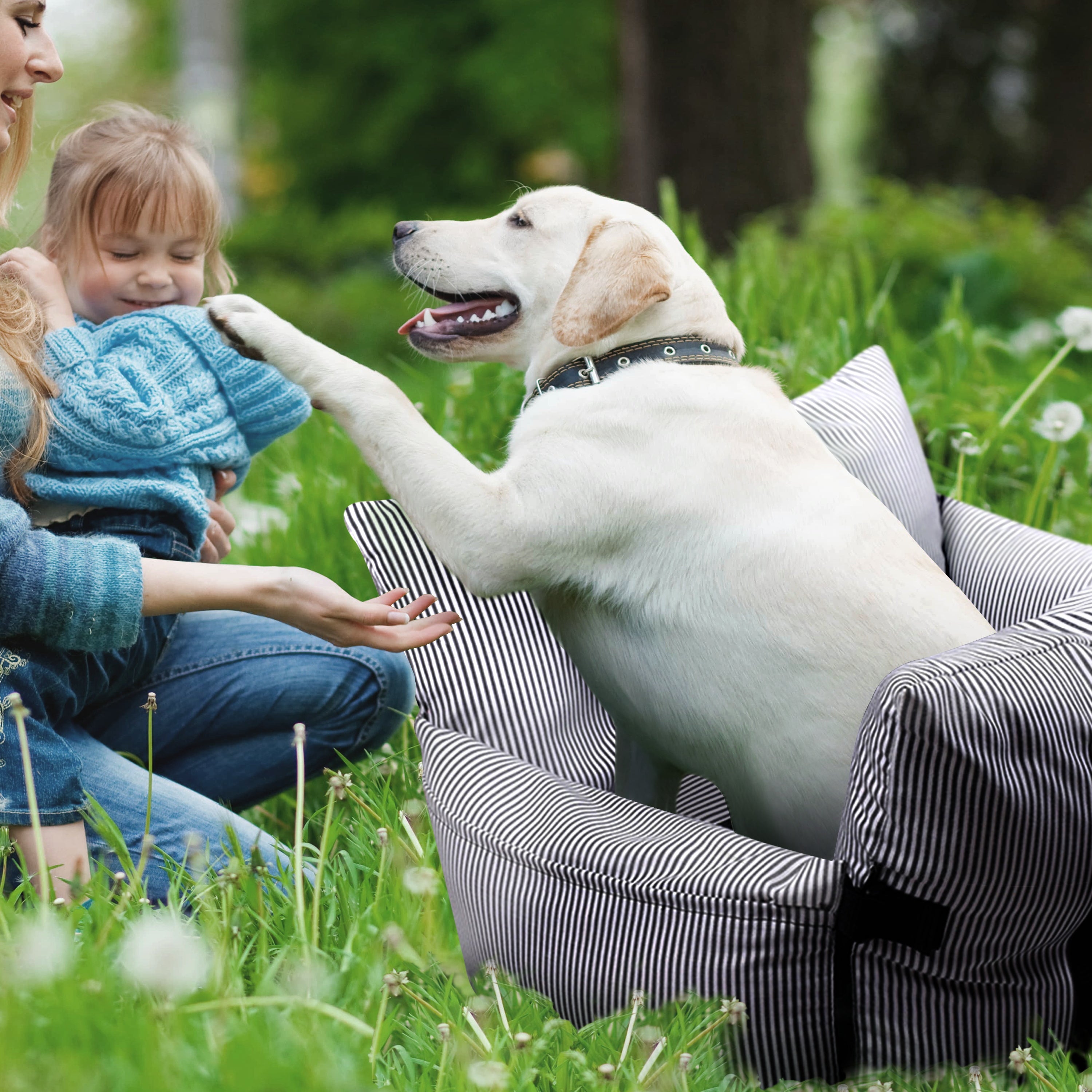 Car Seat Booster Seat for Dogs, Pet Travel Bed — blue